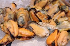 Mejillones